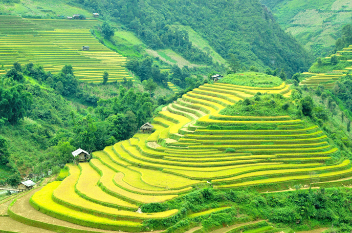 Du Lịch Miền Bắc - Sài Gòn - Lào Cai - Sapa - Thác Bạc (T1/2015)